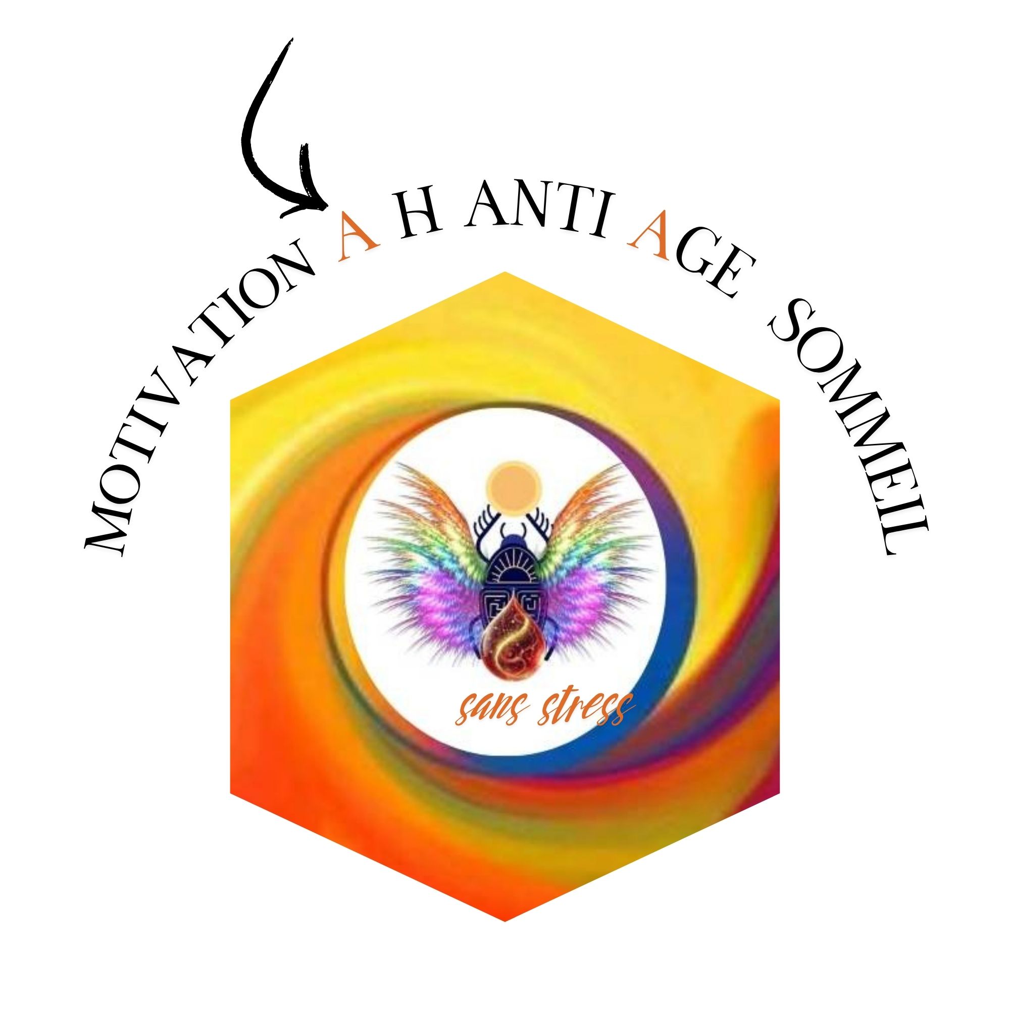 Logo VEMAR